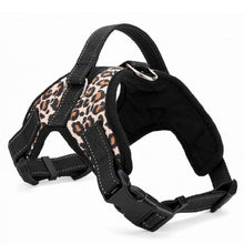 Load image into Gallery viewer, Nylon Heavy Duty Dog Pet Harness Collar